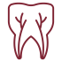 endodoncja